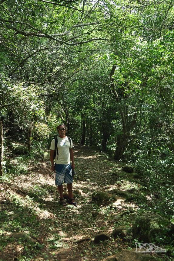 Na trilha entre Caiera e a praia de Naufragados, no extremo sul de Florianópolis, Ilha de Santa Catarina